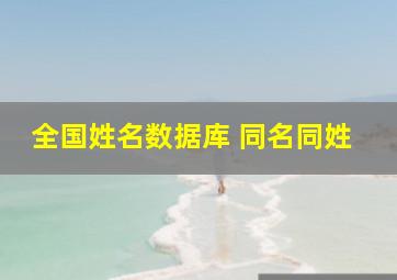 全国姓名数据库 同名同姓